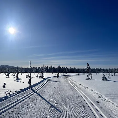 Fokus * Syöte